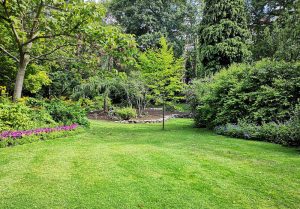 Optimiser l'expérience du jardin à Broye-Aubigney-Montseugny